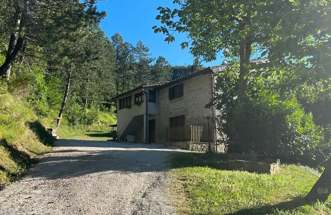 B&B Paradiso-1