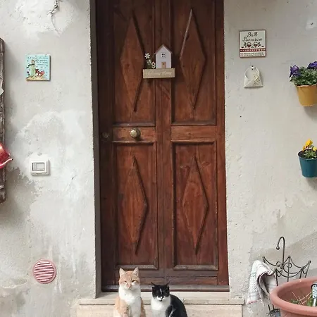B&B Paradiso-2